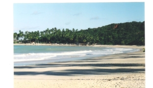 Joao Pessoa 2003 - beach